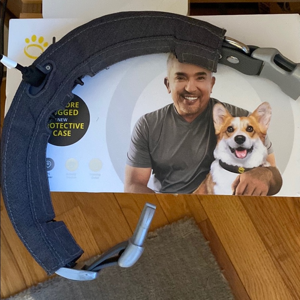 Halo Collar- virtual dog fence system